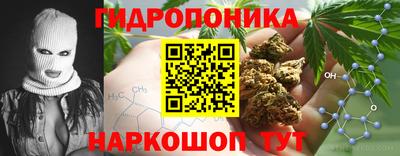 гашик Кулебаки