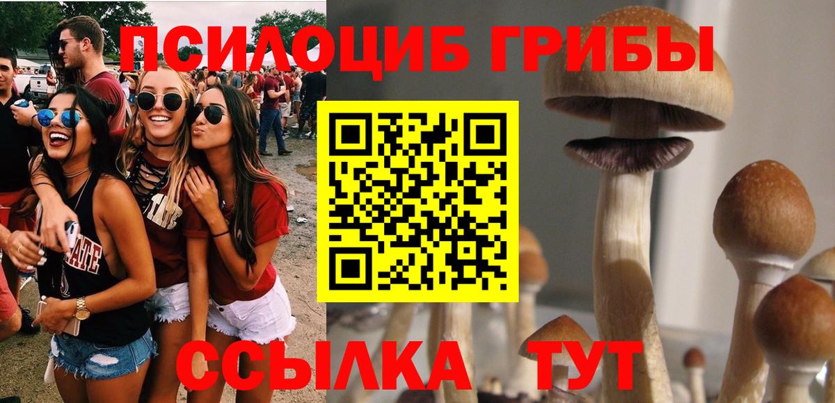 Галлюциногенные грибы прущие грибы Грозный