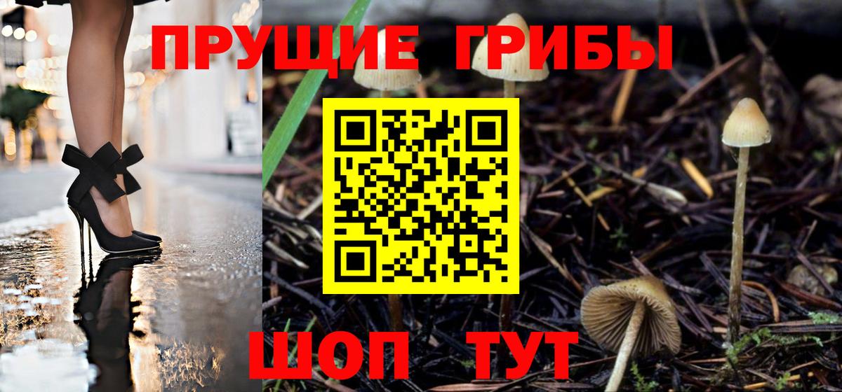 Грозный  купить наркотик  Псилоцибиновые грибы мицелий  Вход с VPN  Галлюциногенные грибы ЛСД 